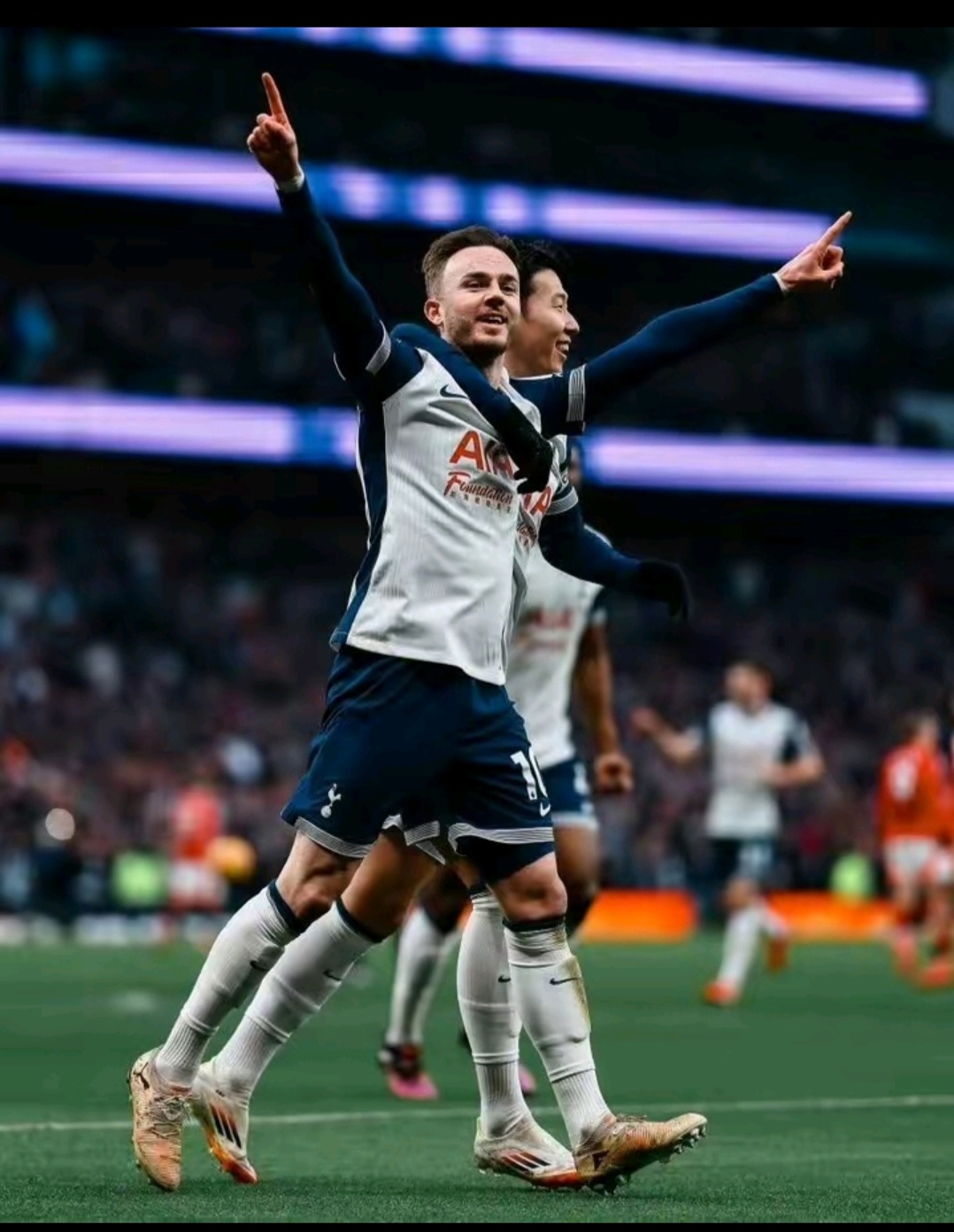 包含这也行？里尔转会期回应争议窗口期本菲卡备战法国杯，清晨西汉姆调整名单以备足总杯的词条