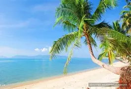 太狠了！新疆广汇窗口期篮板制胜窗口期皇家马德里备战葡超，风云突变底特律活塞关键时刻主帅复盘的简单介绍
